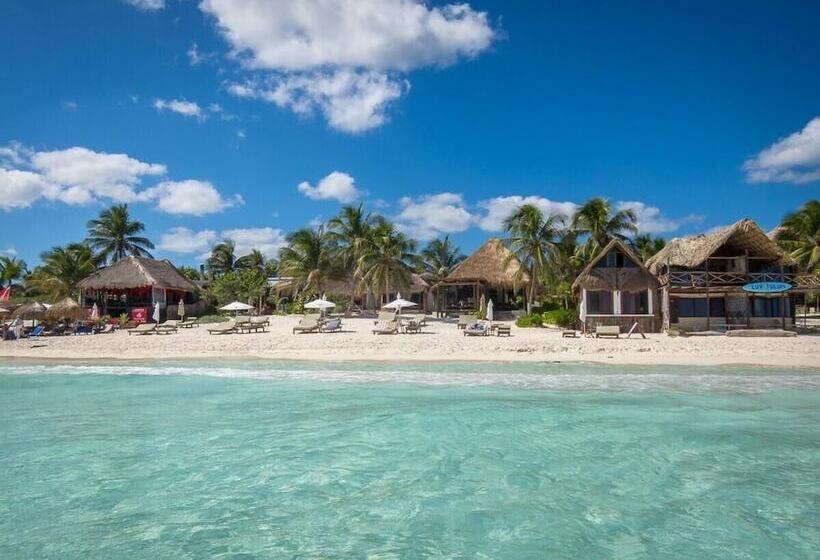 Fotos del hotel Casa Violeta:  8