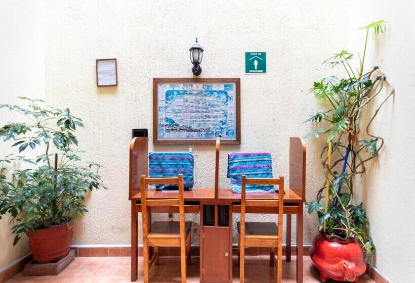 Fotos del hotel Villa Real Ii:  14