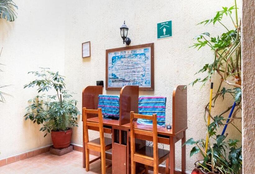 Fotos del hotel Villa Real Ii:  4