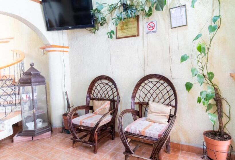 Fotos del hotel Villa Real Ii:  6