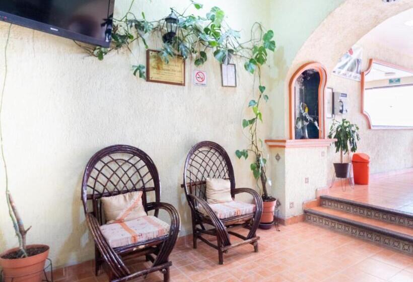 Fotos del hotel Villa Real Ii:  7