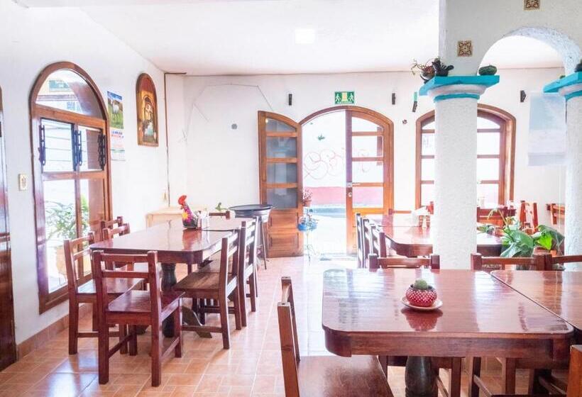 Fotos del hotel Villa Real Ii:  18