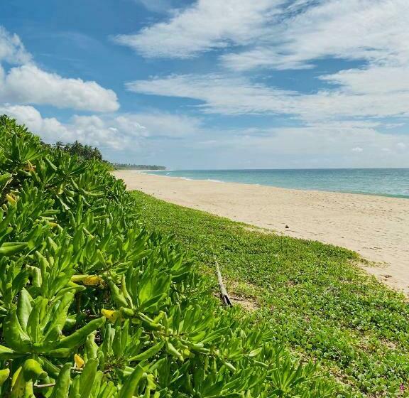 Fotos del hotel Sanjis The Seaside Cabanas:  12