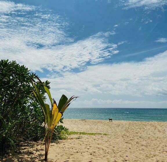 Fotos del hotel Sanjis The Seaside Cabanas:  10