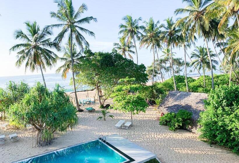 Fotos del hotel Serein Beach:  5