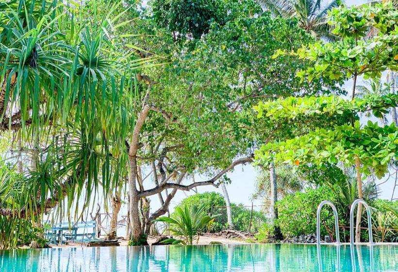 Fotos del hotel Serein Beach:  1