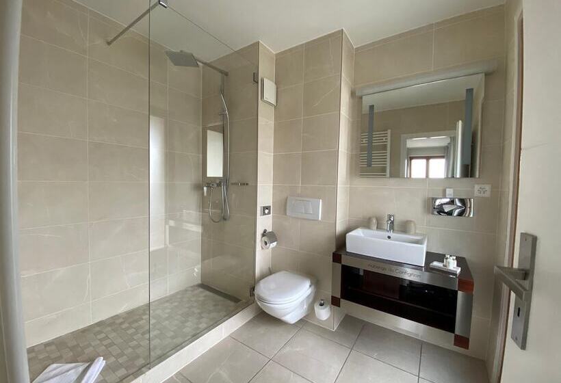 Fotos del hotel Auberge De Confignon:  9