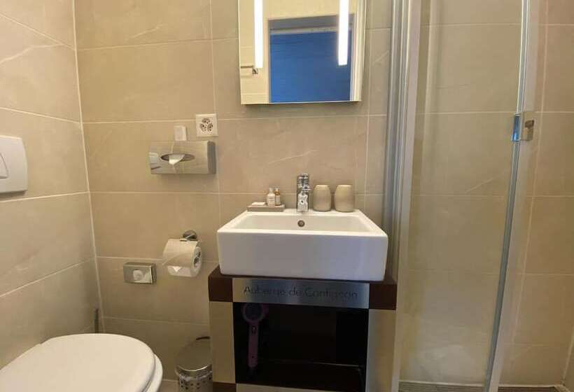 Fotos del hotel Auberge De Confignon:  13