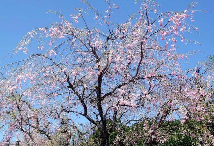 Fotos del hotel Hakone Gora Onsen  Kasansui:  10