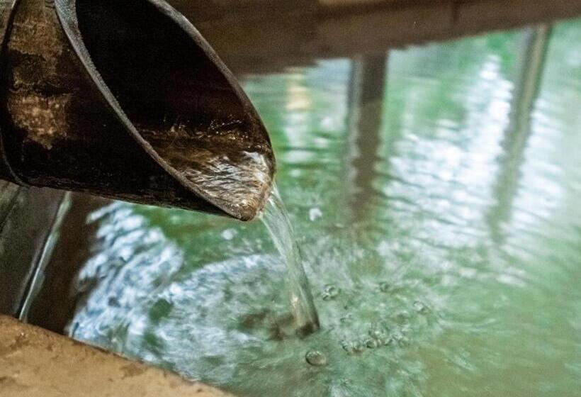 Fotos del hotel Hakone Gora Onsen  Kasansui:  5