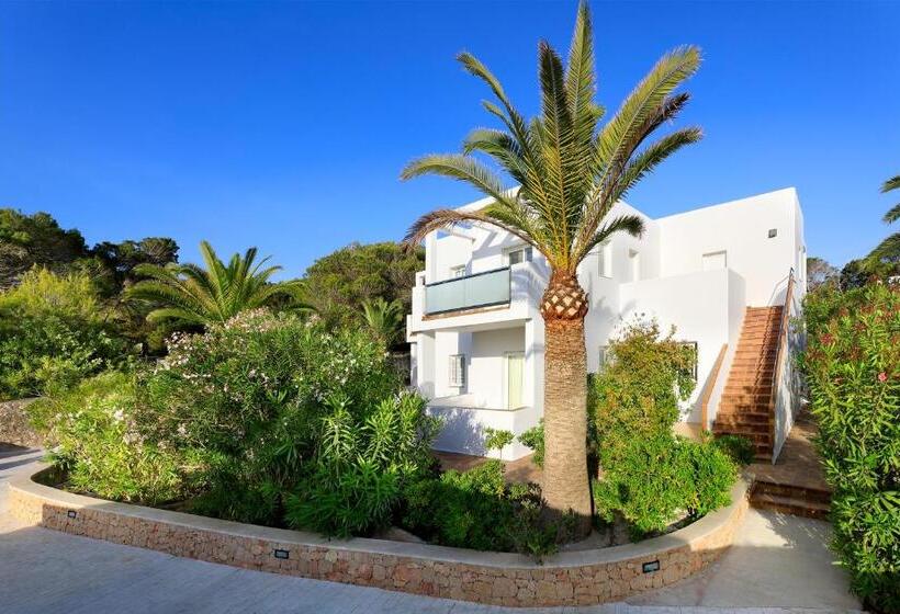 Fotos del hotel Blanco Hotel Formentera:  19