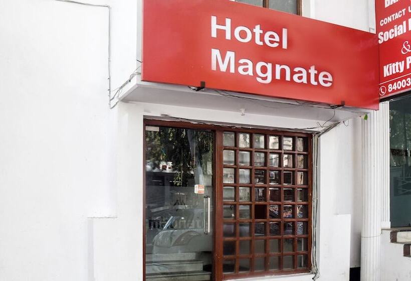Fotos del hotel Magnate:  14