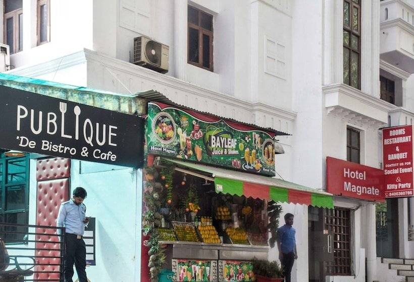 Fotos del hotel Magnate:  13