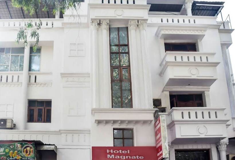 Fotos del hotel Magnate:  8