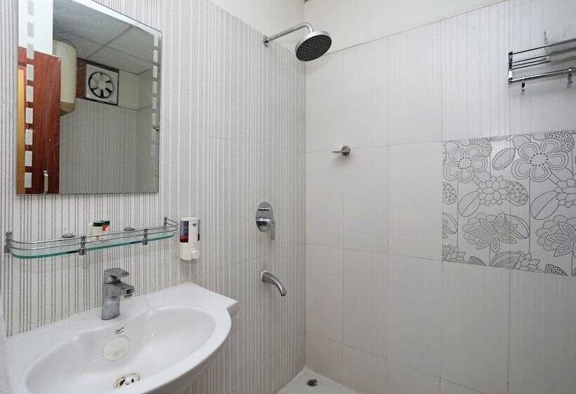 Fotos del hotel Magnate:  6