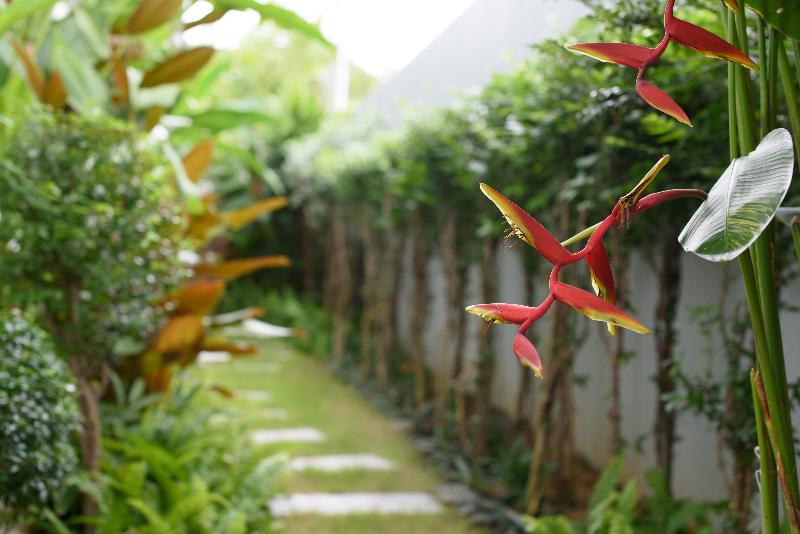 Fotos del hotel Costa Village Bangsaray:  15