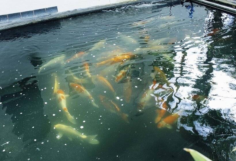 Fotos del hotel Urban House 195 Chiang Mai:  7