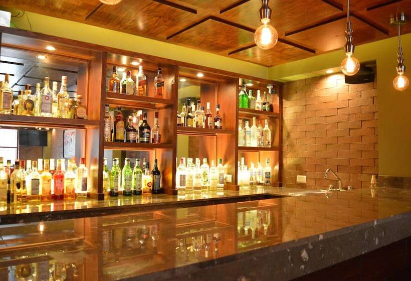 Fotos del hotel Posada Del Virrey:  4