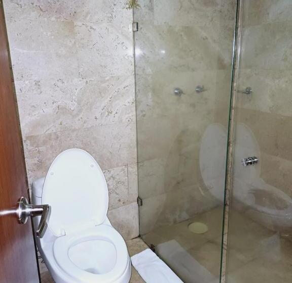 Fotos del hotel Posada Del Virrey:  7