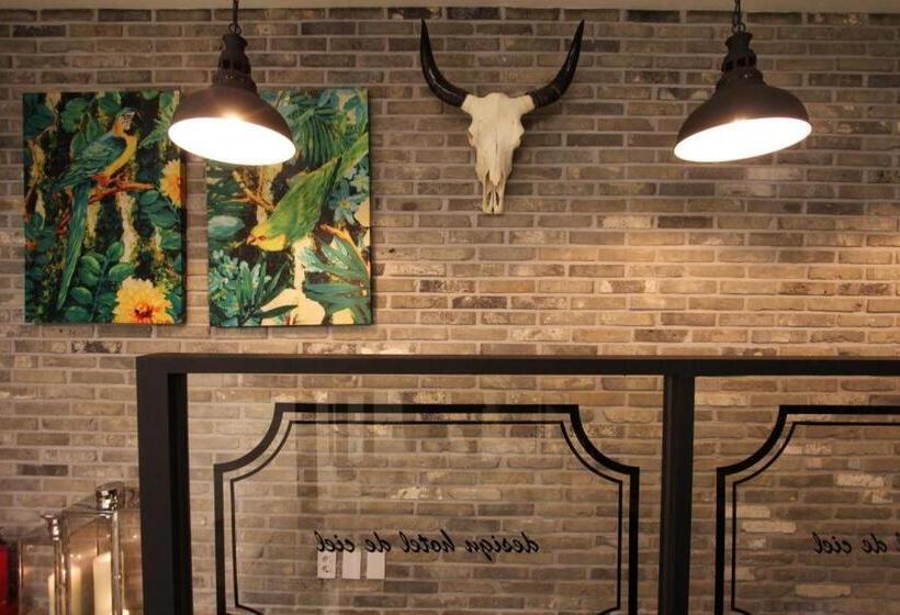 Fotos del hotel De Ciel:  4