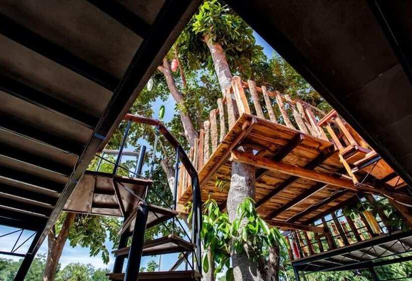 Fotos del hotel Gm Green Resort:  5