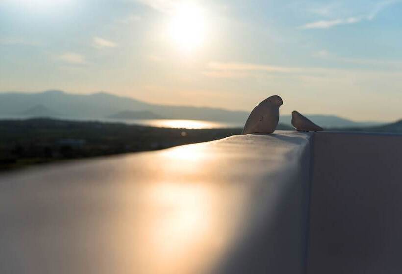 Fotos del hotel Seven Suites:  6