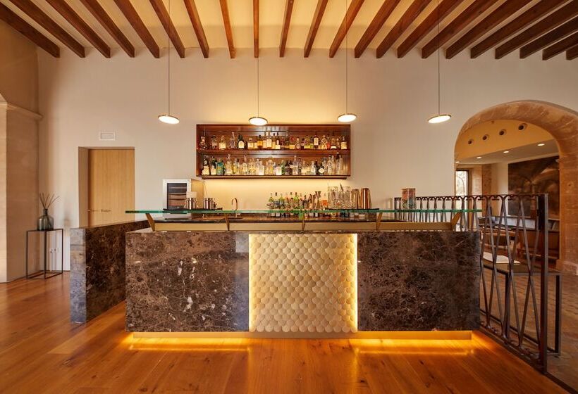 Fotos del hotel Sa Creu Nova Petit Palais Art & Spa:  3