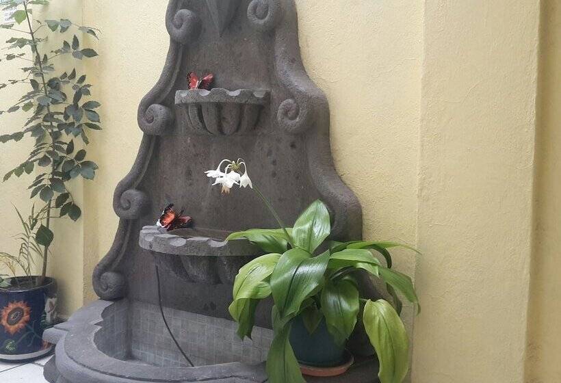 Fotos del hotel Posada Diamante:  11