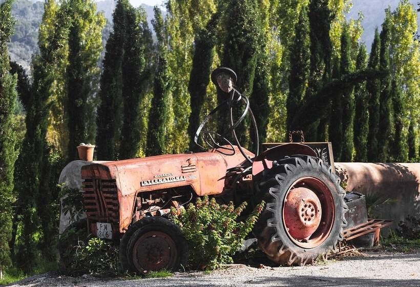 Fotos del hotel Finca Ca N'ai - Adults Only:  4