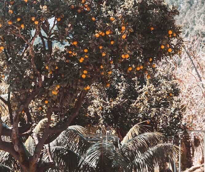 Fotos del hotel Finca Ca N'ai - Adults Only:  16