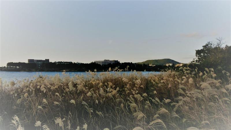 Fotos del hotel The Best Jeju Seongsan:  9