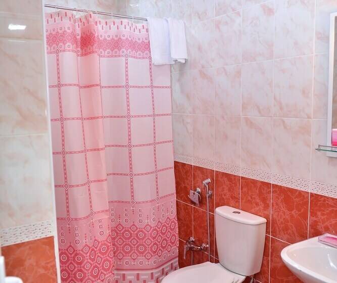 Fotos del hotel Planet Inn Hotel Baku:  5