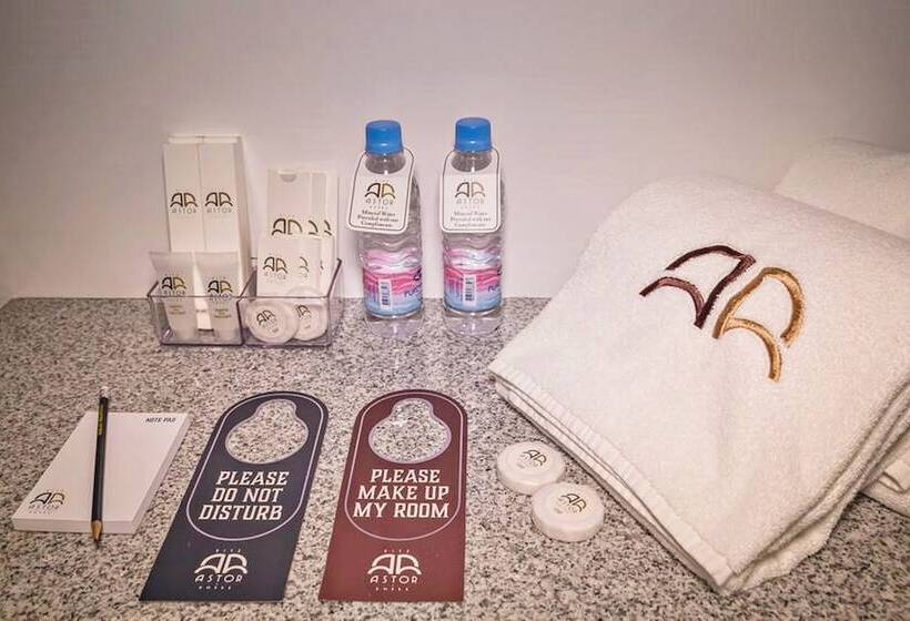 Fotos del hotel Ritz Astor:  3