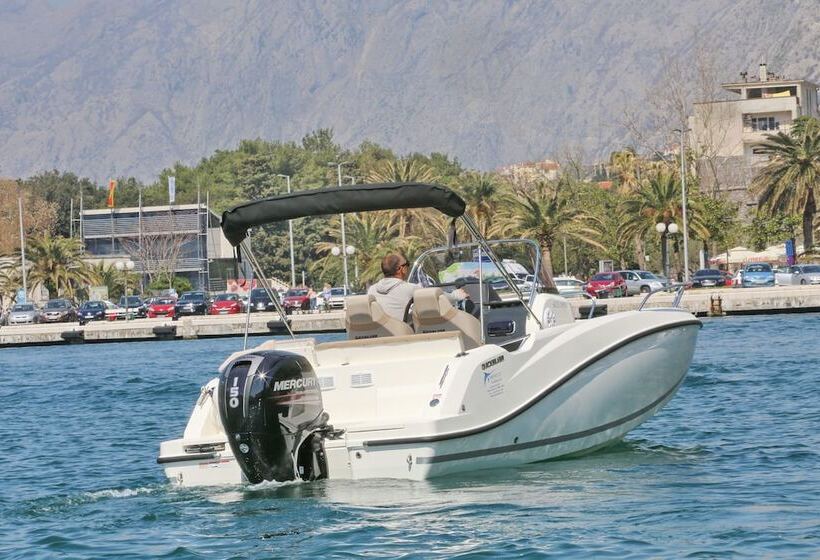 Fotos del hotel Forza Terra:  19