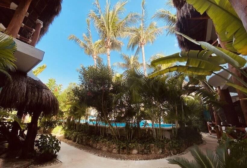 Fotos del hotel Para Ti - Adults Only:  8