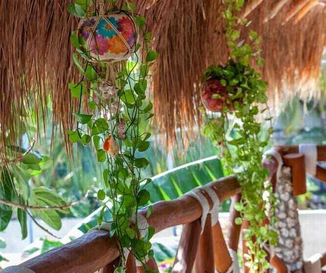 Fotos del hotel Para Ti - Adults Only:  25