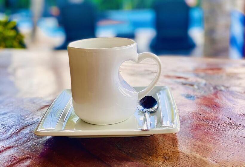 Fotos del hotel Para Ti - Adults Only:  13