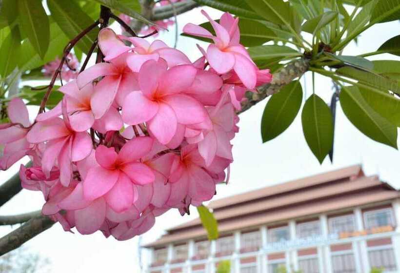 Fotos del hotel The Choice Residence - Adults Only:  5