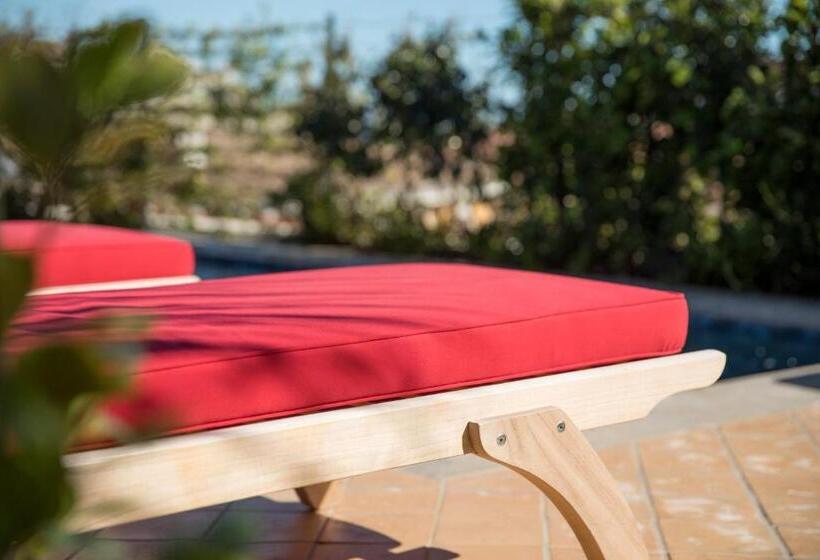 Fotos del hotel Cappuccino  Palma:  15