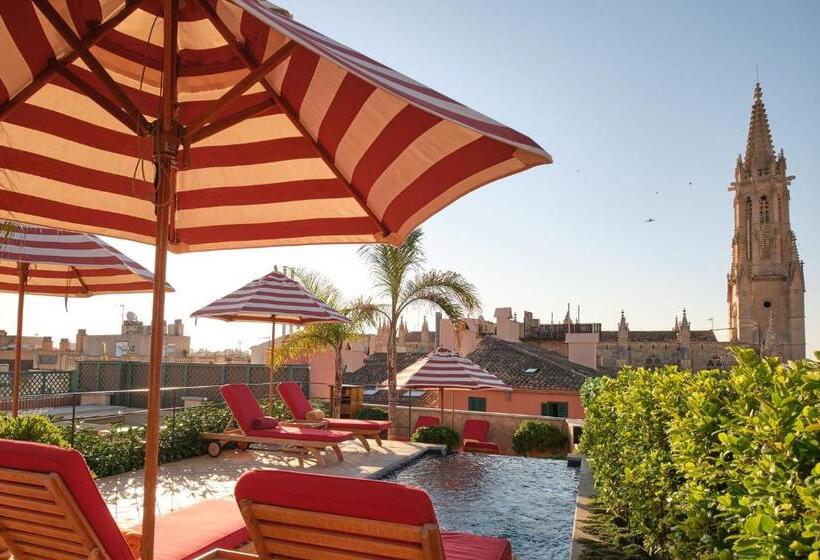 Fotos del hotel Cappuccino  Palma:  11