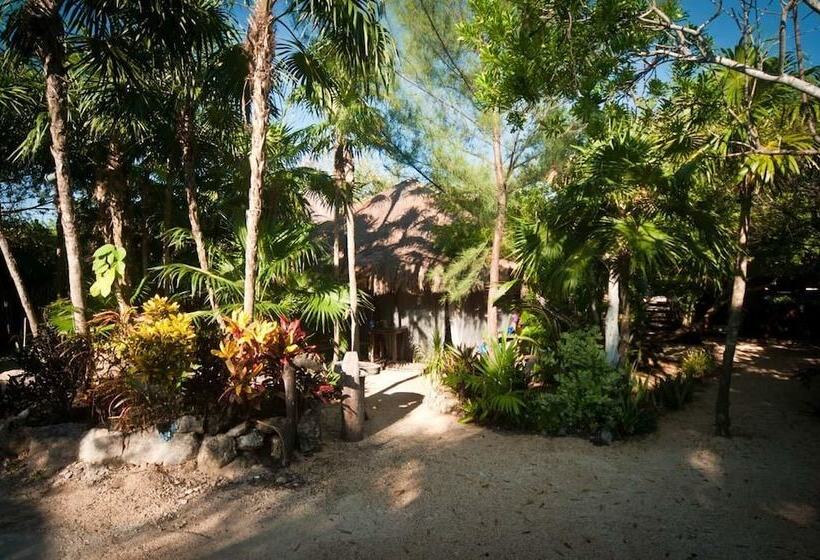 Fotos del hotel Yoga Shala Tulum:  8