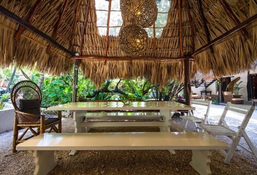 Fotos del hotel Yoga Shala Tulum:  15