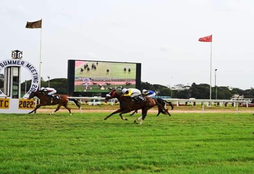 Fotos del hotel Holiday Inn Bengaluru Racecourse, An Ihg:  12