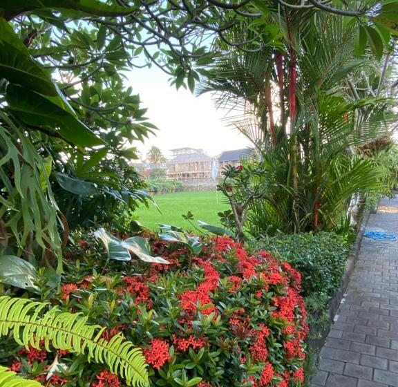 Fotos del hotel Rama Village:  16