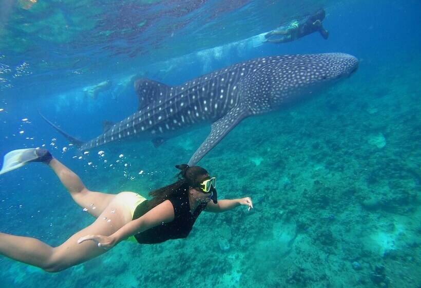 Fotos del hotel Handhuvaru Villa Boutique:  10