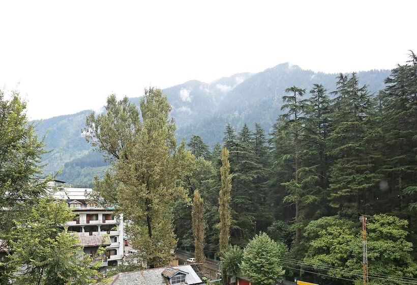 Fotos del hotel Oyo 9546 Mall Road:  7