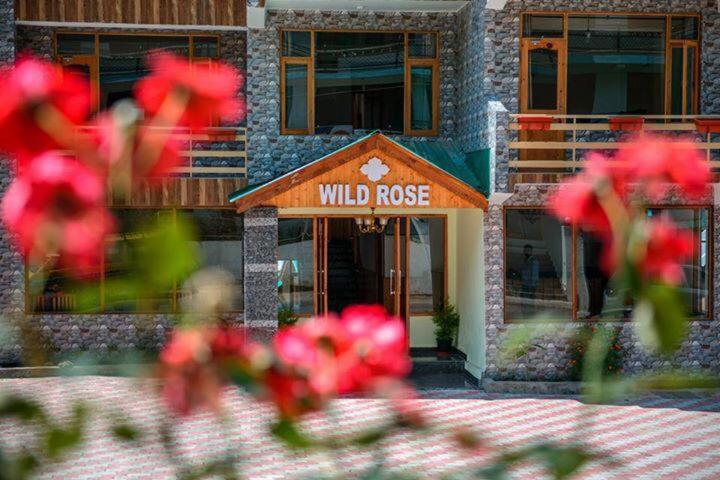 Fotos del hotel Wild Rose:  17