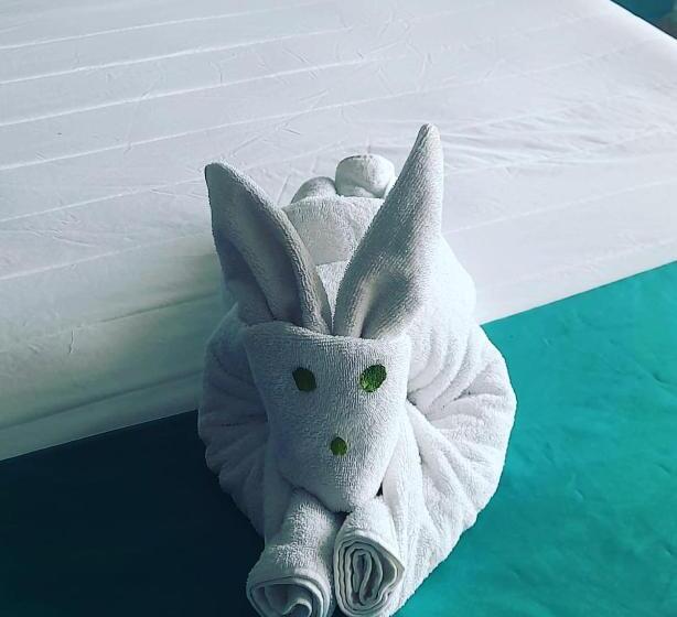 Fotos del hotel Punta Esmeralda:  9