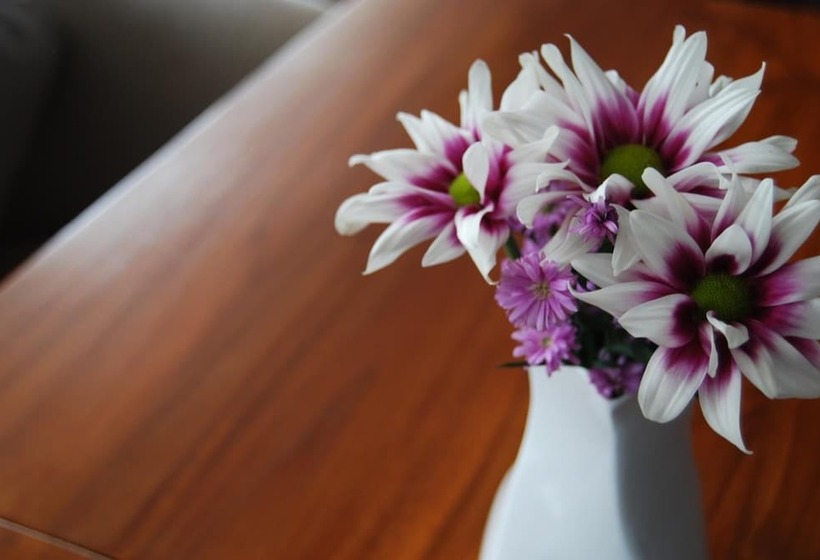 Fotos del hotel Horison Inn Alaska:  6