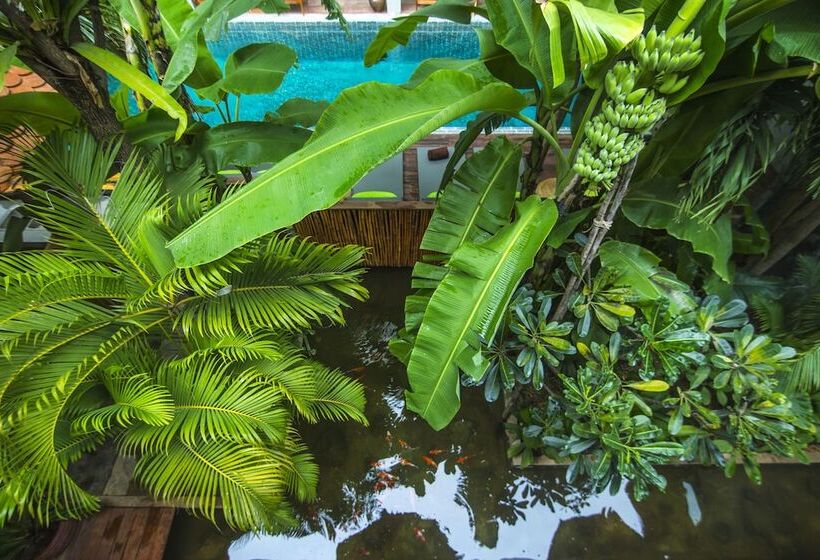 Fotos del hotel Sarina Boutique:  7